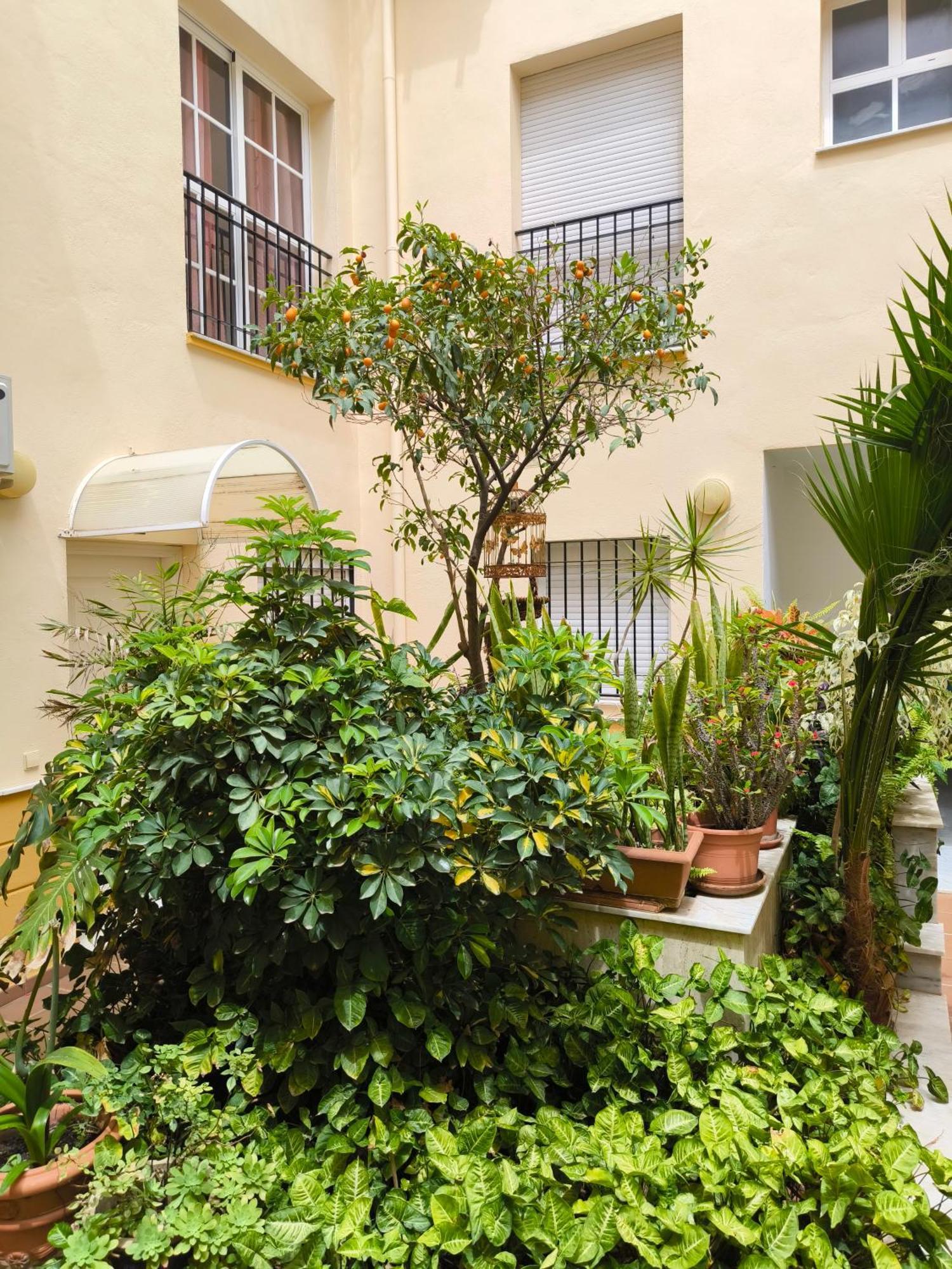 Beach Side Heaven Fuengirola Exterior photo